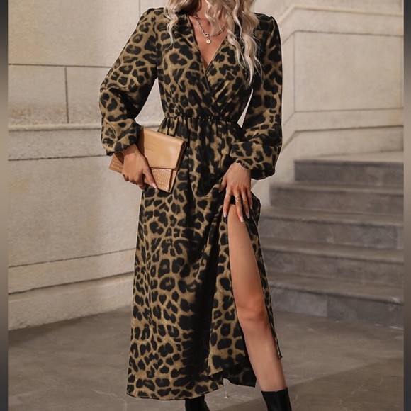 Boho Leopard Print Slit Long Sleeve Maxi Dress - Picture 11 of 16